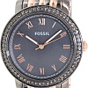 Наручные часы Fossil ES3115