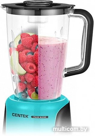 Стационарный блендер CENTEK CT-1322