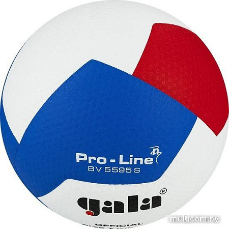 Волейбольный мяч Gala Pro-Line 12 BV 5595 SA (размер 5, белый/красный/голубой)
