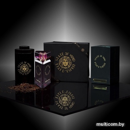 State of Mind Butterfly Mind EdP (100 мл)