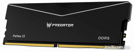Оперативная память Acer Predator Pallas II 2x16ГБ DDR5 6400 МГц BL.9BWWR.434