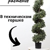 Искусственное растение Merry Bear Home Decor Самшит спиралевидный KM5312