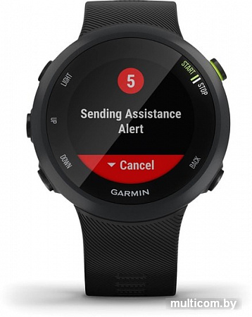 Умные часы Garmin Forerunner 45 (черный)