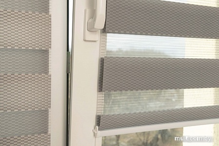 Шторы день-ночь Delfa Сантайм День-Ночь Масо МКД DN-41605 (52x160, серый)