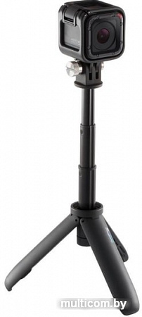 GoPro Shorty