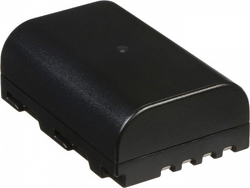 Аккумулятор Panasonic DMW-BLF19E