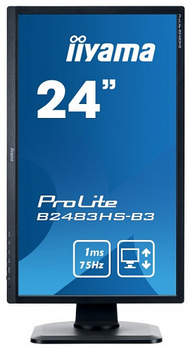 Монитор Iiyama ProLite B2483HS-3