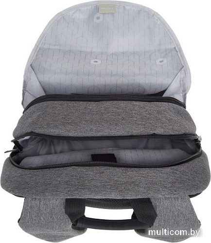 Рюкзак Delsey Esplanade 00394260301