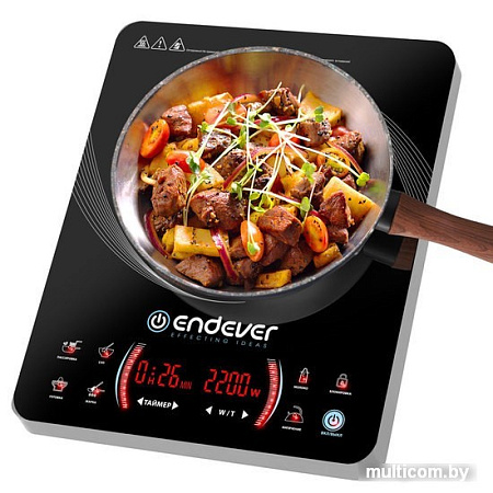 Настольная плита Endever Skyline IP-59