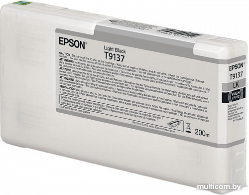 Картридж Epson C13T913700