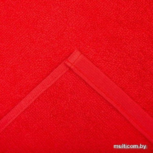 Набор полотенец Этель Eco Winter 7339077 (4 шт)