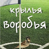 Книга издательства АМФОРА Крылья воробья, мягкая обложка (Бримсон Дуги)