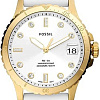 Наручные часы Fossil FB-01 ES5286