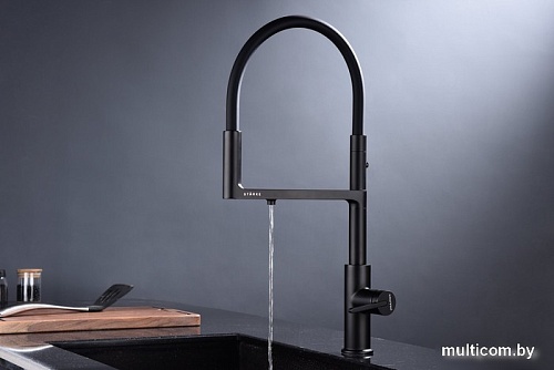 Смеситель Paulmark Tornado TO213402-401 (черный/антрацит)