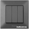 Выключатель Panasonic Arkedia Slim WNTC00152DG-BY