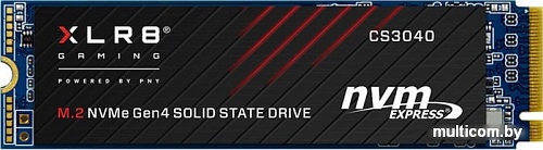 SSD PNY XLR8 CS3040 1TB M280CS3040-1TB-RB