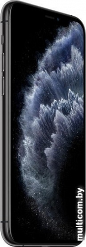 Смартфон Apple iPhone 11 Pro Max 64GB (серый космос)