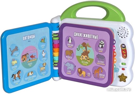 Интерактивная игрушка VTech Мой первый англо-русский словарик 100 слов 80-601526