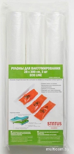 Рулоны вакуумной пленки Status VB283003-ECO (300x28 см, 3 шт)