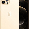 Смартфон Apple iPhone 12 Pro Max 256GB (золотой)