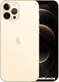 Смартфон Apple iPhone 12 Pro Max 256GB (золотой)