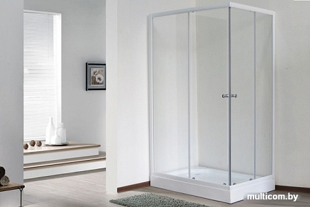Душевой уголок Royal Bath RB8100HPD-T 100x80