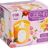 Набор для изготовления свечей Школа талантов С формовыми элементами 10092826