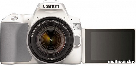 Зеркальный фотоаппарат Canon EOS 250D Kit 18-55 IS STM (белый)