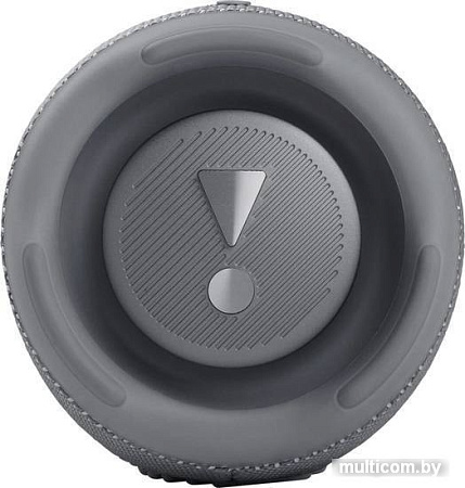 Беспроводная колонка JBL Charge 5 (серый)