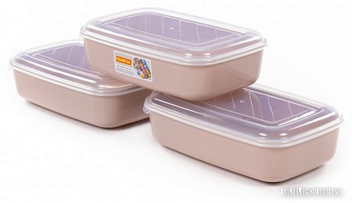 Набор контейнеров Полесье №41 2.7л с крышками 73829 (3 шт, темно-кремовый/прозрачный)