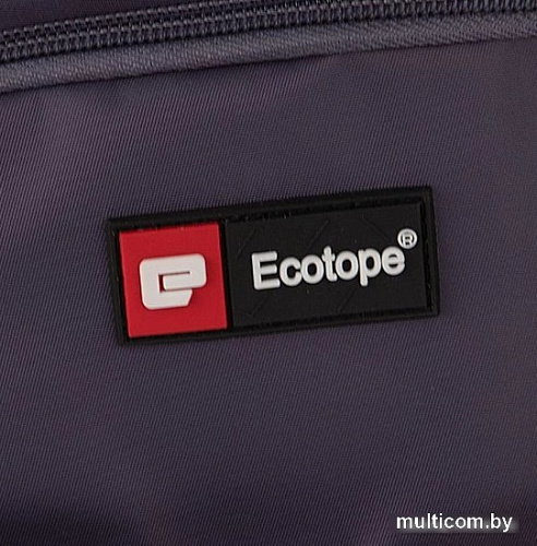 Городской рюкзак Ecotope 274-3095-GRY (серый)