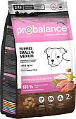 Сухой корм для собак Probalance Immuno Puppies Small & Medium (для укрепления иммунитета) 2 кг
