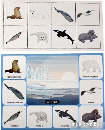 Развивающая игра Десятое королевство Кто где живет? 00078