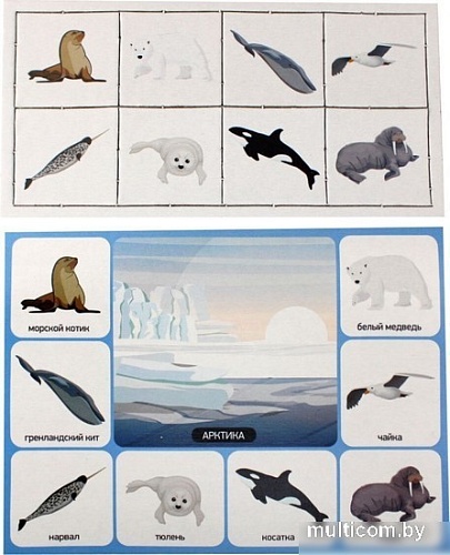 Развивающая игра Десятое королевство Кто где живет? 00078