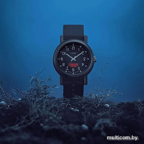 Наручные часы Timex Camper Stranger Things TW2V50800
