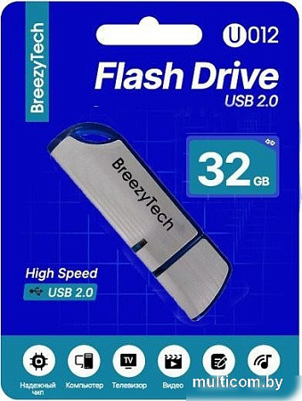 USB Flash BreezyTech U012 32GB (серебристый/синий)