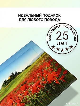 Картина Декарт 8Л3072