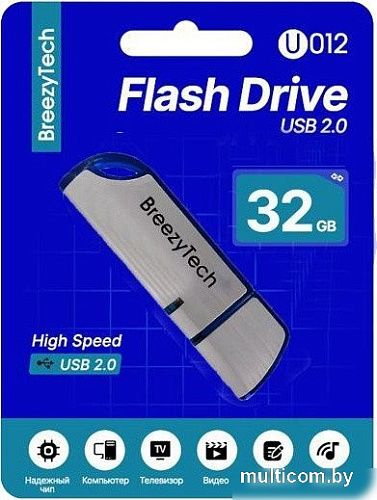 USB Flash BreezyTech U012 32GB (серебристый/синий)