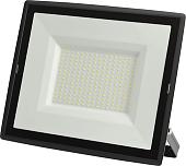 Уличный прожектор ЭРА LPR-023-0-65K-200