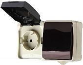 Розетка Smart Buy SBE-04w-16-SWS