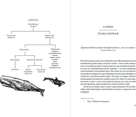 Книга издательства Альпина Нон-фикшн. Воспитание дикости. Как животные создают свою культуру (Сафина К.)
