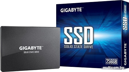 SSD Gigabyte 256GB GP-GSTFS31256GTND