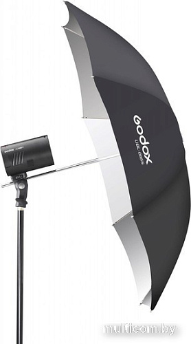 Комплект студийного света Godox AD100Pro Dual KIT