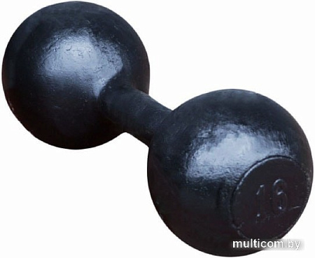 Гантели Titan Литая 16 кг.