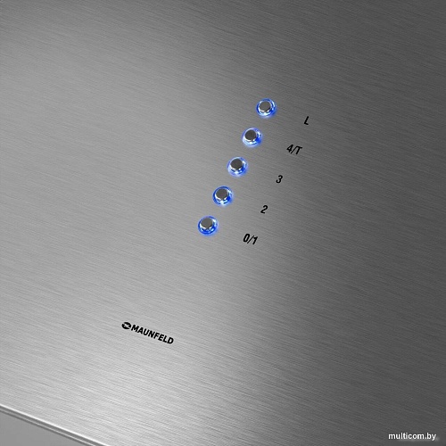 Кухонная вытяжка MAUNFELD Bath Isla 402 (нержавеющая сталь)