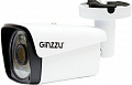 IP-камера Ginzzu HIB-2302S