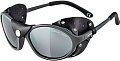 Солнцезащитные очки Alpina Sibiria CM A83163-27 (Tin/Black)