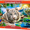 Пазл Castorland Тигр