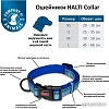 Ошейник Halti Collar L (голубой)