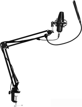 Микрофон SunWind SW-SM400G